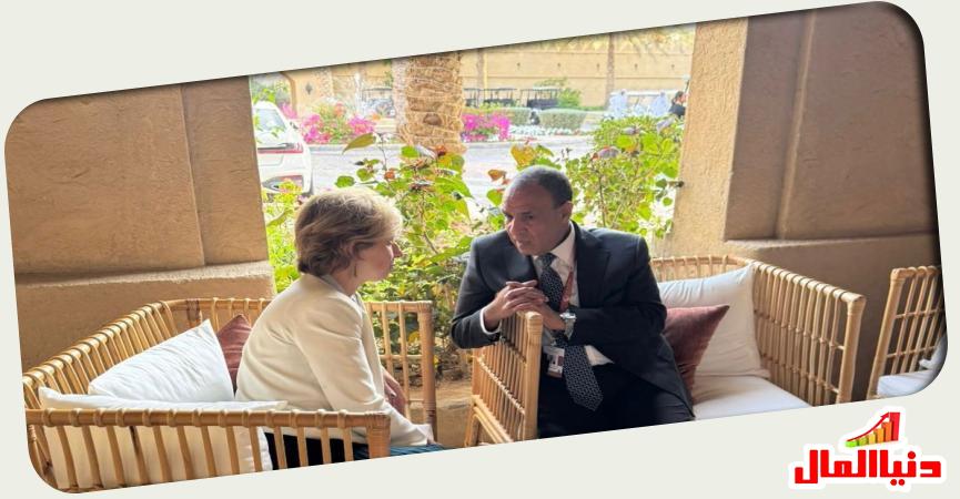 وزير الخارجية المصري - مستشارة الرئيس الفرنسي 