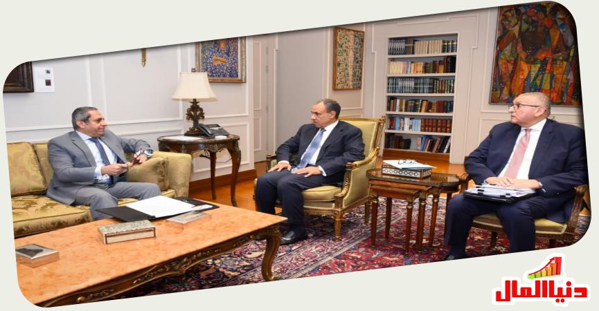 وزير الخارجية المصري 