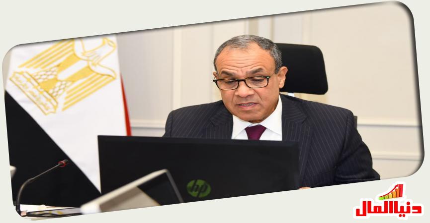وزير الخارجية المصري 