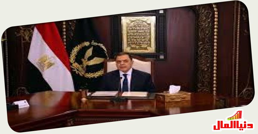 وزير الداخلية المصري 