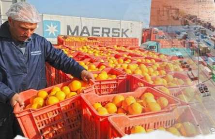 نجاح جديد لوزارة الزراعة بعد فتح السوق الأوزباكي  .. فتح سوق الدومنيكان أمام الصادرات المصرية