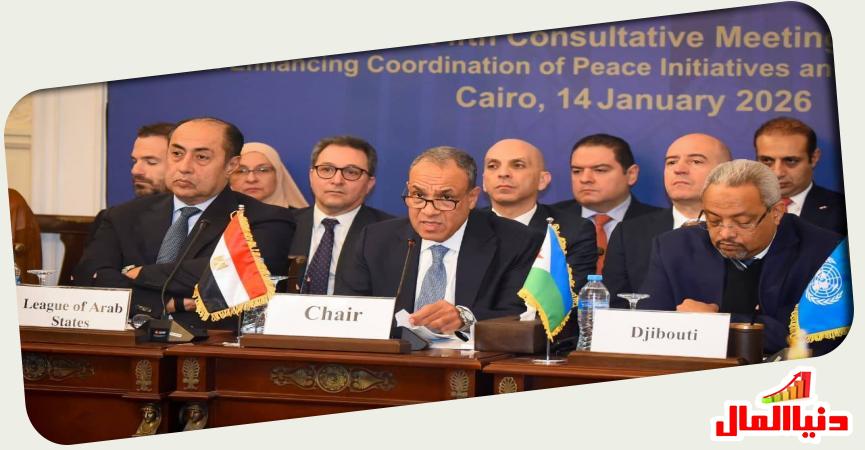 وفد مصر ووزير الخارجية 