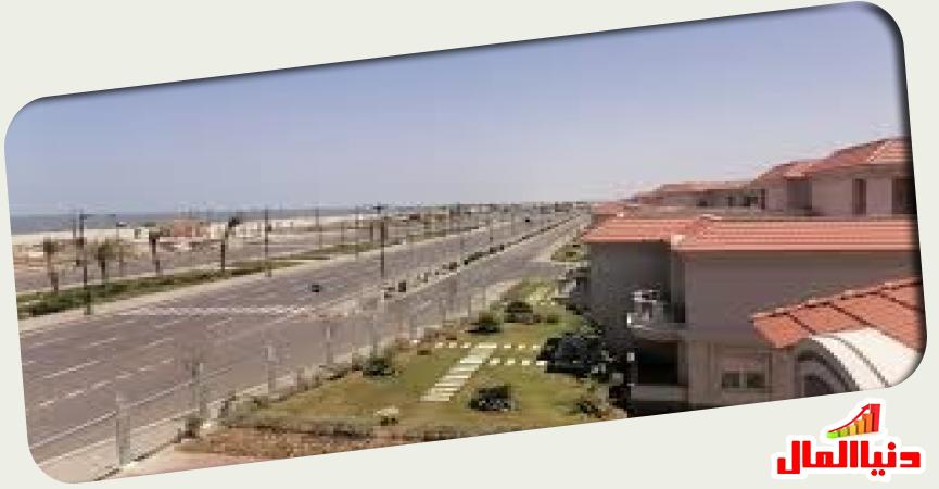 المنصورة الجديدة 