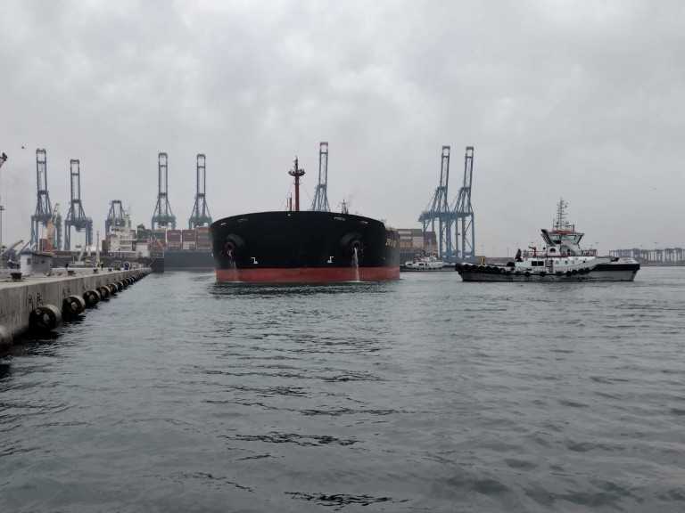 سفينة الصب الجاف ZHI DA 88 ترسو على أرصفة الميناء قادمة من الصين بحمولة قياسية