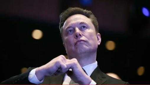 إيلون ماسك يربح 84 مليار دولار في يوم واحد» ويكسر حاجز 800 مليار ثروة