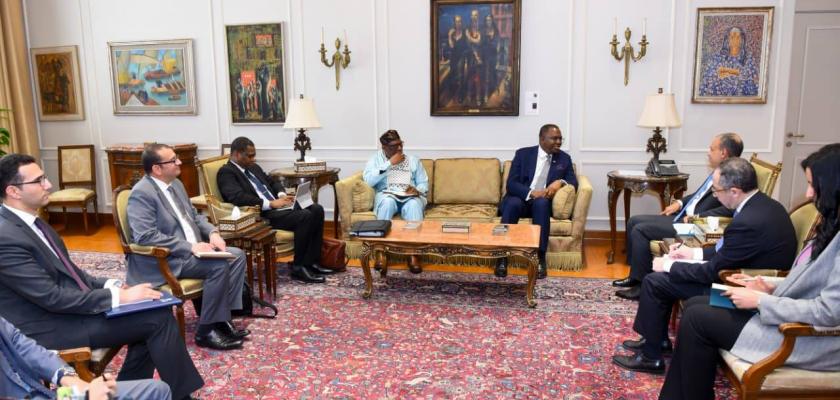 وزير الخارجية يستقبل رئيس لجنة العشرة الأفريقية لإصلاح مجلس الأمن
