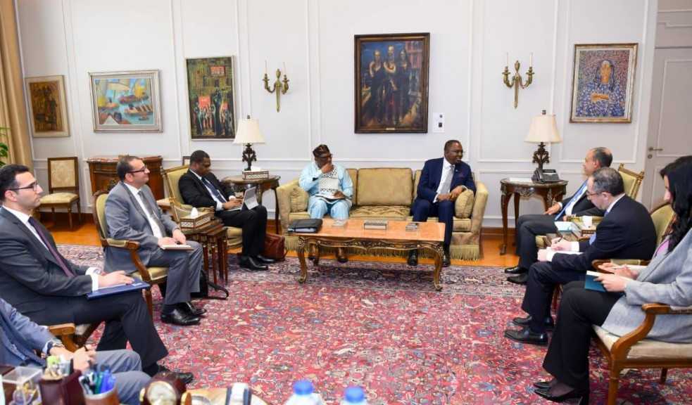 وزير الخارجية يستقبل رئيس لجنة العشرة الأفريقية لإصلاح مجلس الأمن