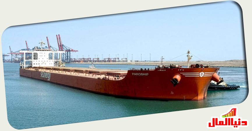 السفينة MV PAROSHIP 