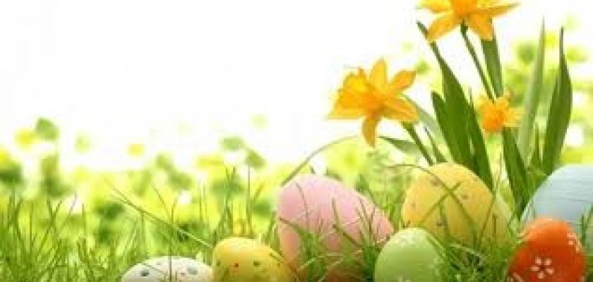 الاثنين المقبل إجازة رسمية بمناسبة عيد شم النسيم