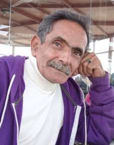 أشرف حمودة يكتب .. حيوانات الشارع وتحقيق التوزازن البيئي