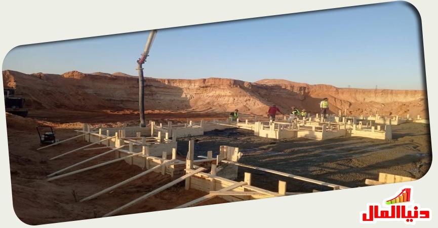 زهرة العاصمة 