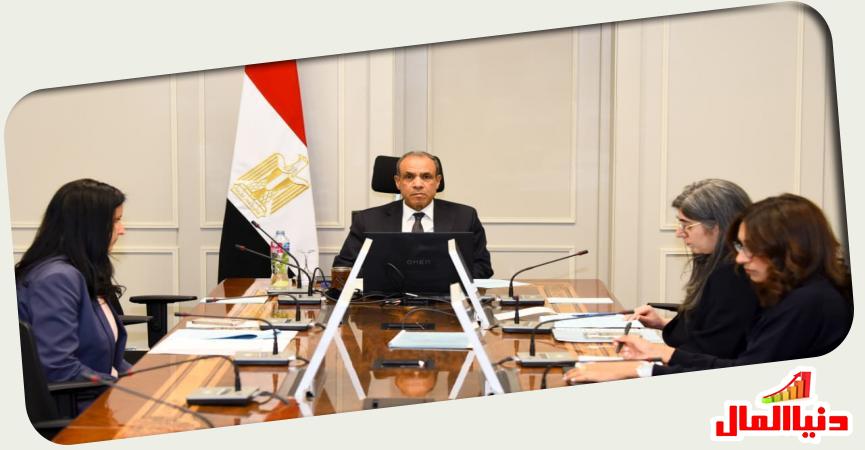 وزير الخارجية المصري 