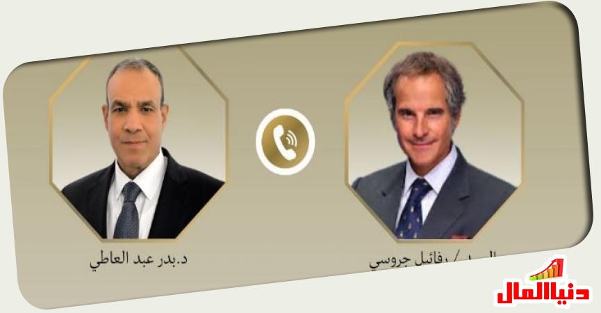 وزير الخارجية المصري 