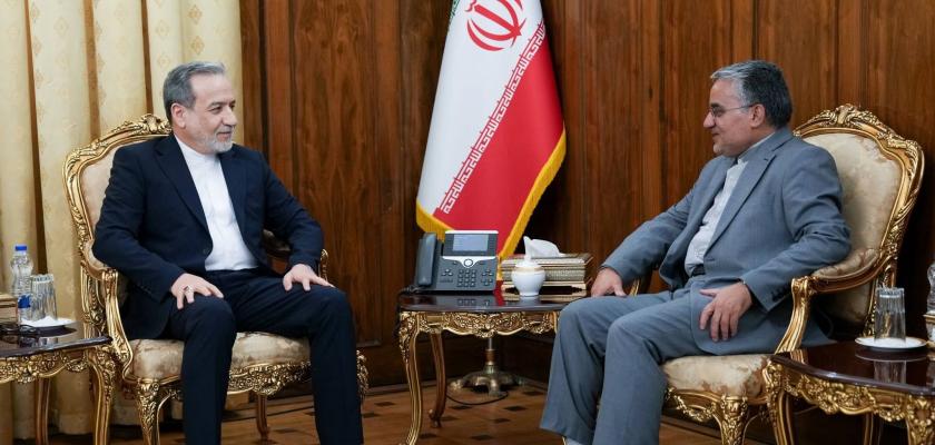 لقاء رئيس مكتب رعاية المصالح الإيراني في القاهرة مع وزير الخارجيةعباس عراقجي