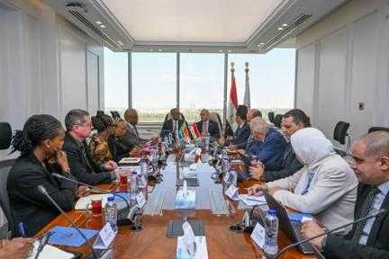 مصر وجنوب إفريقيا تبحثان تفعيل «قواعد المنشأ التراكمية»... مصر وجنوب إفريقيا تبحثان تفعيل «قواعد المنشأ التراكمية» وشراكة إستراتيجية في قطاع السيارات