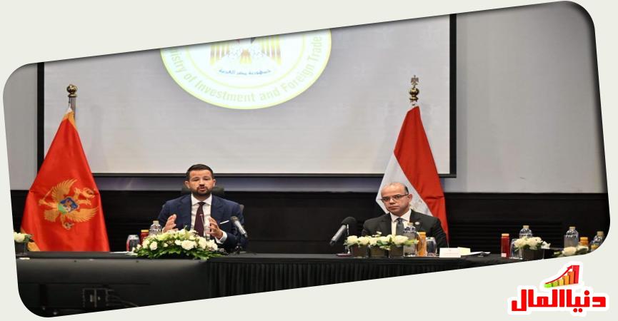 وزير الاستثمار 
