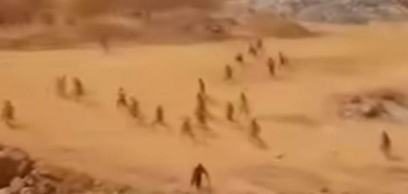 تنفيذ المرحلة الثالثة من الحملة المكبرة لمجابهة أعمال التنقيب غير المشروع عن خام الذهب بالصحراء الشرقية ...