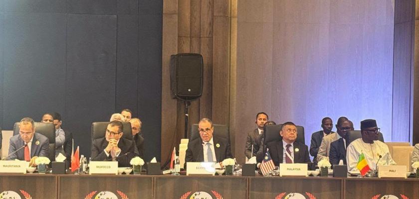 وزير الخارجية يلقي كلمة مصر في اجتماعات الدورة الـ٥٢ لمجلس وزراء خارجية منظمة التعاون الإسلامي